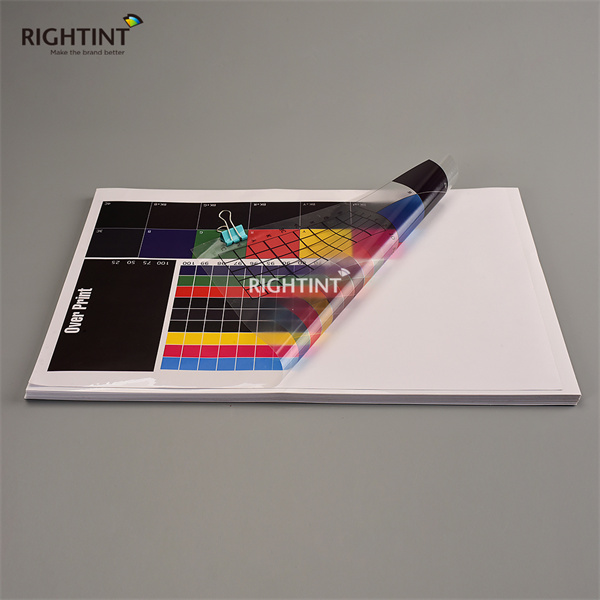 Just how to Take Advantage Of Bopp Film Labeling