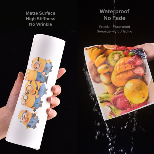 Uses of Matte BOPP Labels