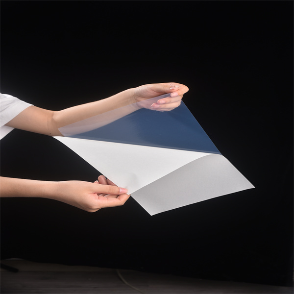 Safety Features in Mylar Labels