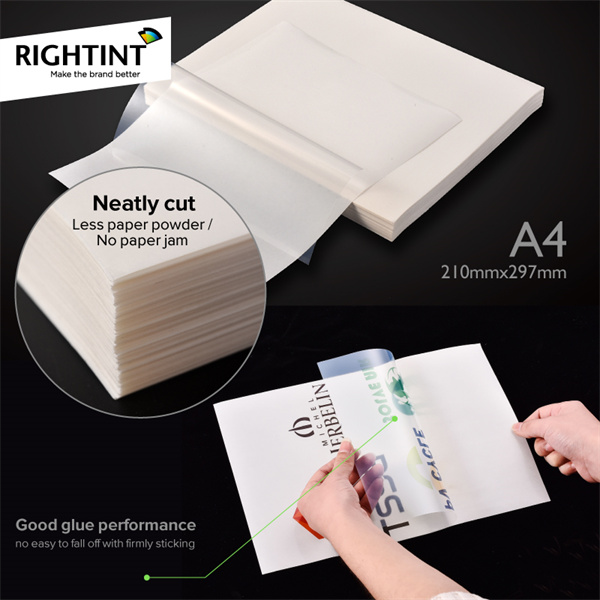 Protection of Transparent Self Adhesive Sheet